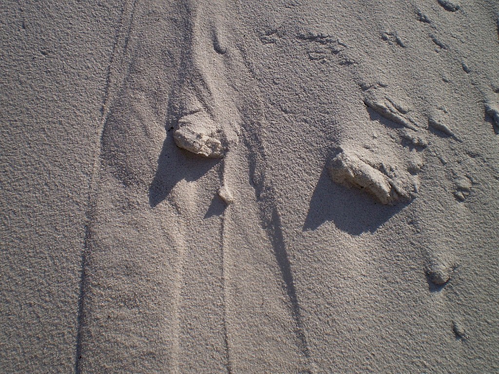 Tiszta homok